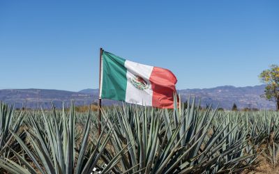 PROGRAMA DESARROLLO – ANASAC MÉXICO